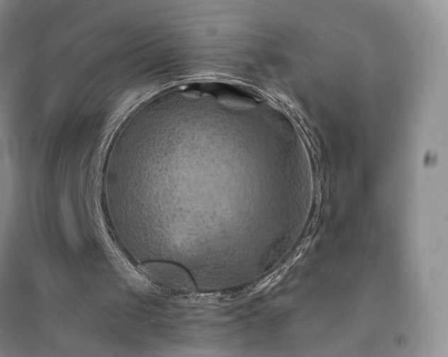 X0000094450049200711151436