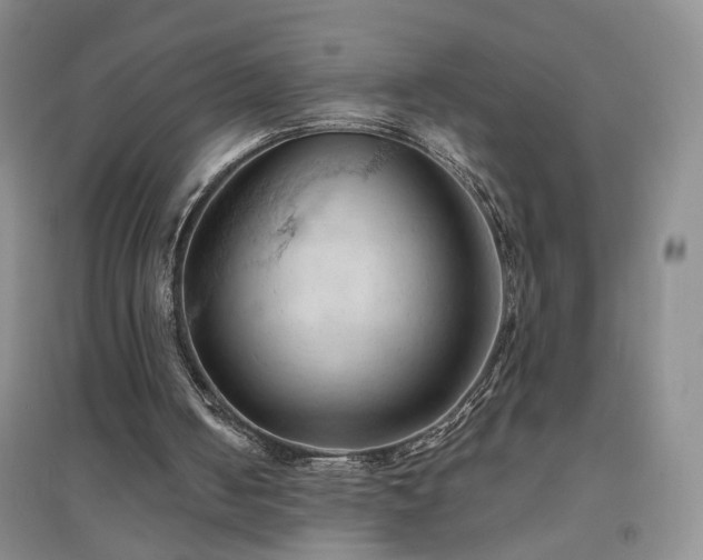 X0000094450050200711151436