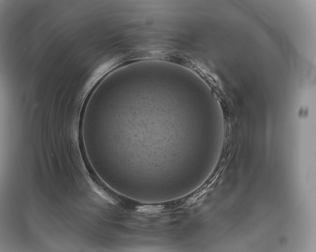 X0000094450051200711151436