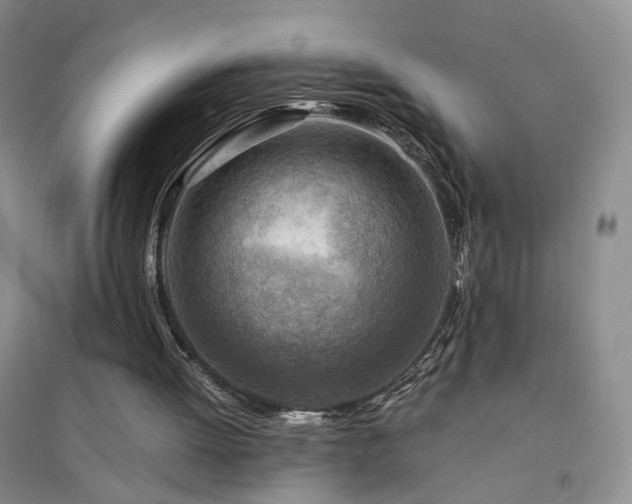 X0000094450052200711151436
