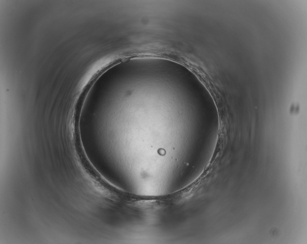 X0000094450054200711151436