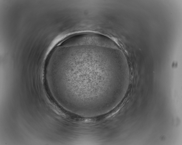 X0000094450056200711151436