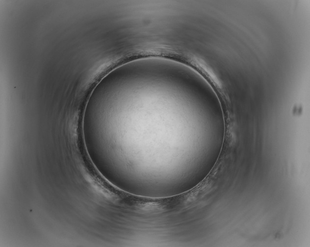X0000094450058200711151436