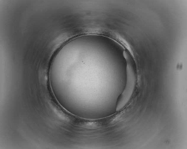 X0000094450059200711151436