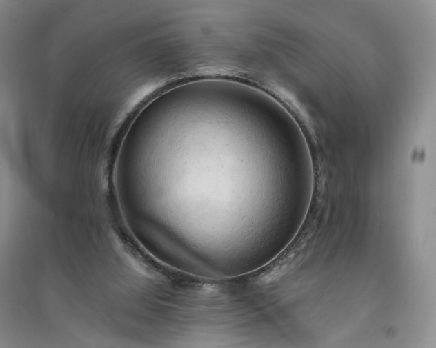 X0000094450060200711151436