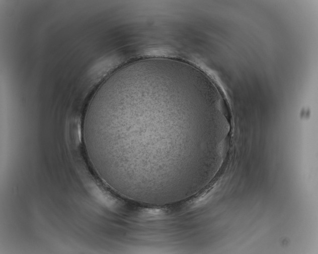 X0000094450061200711151436