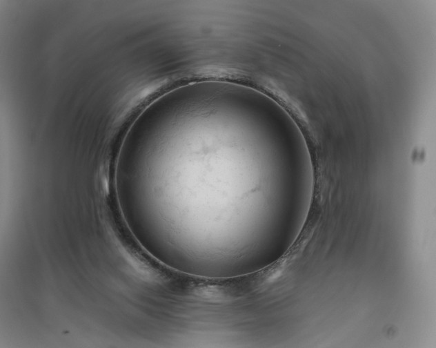 X0000094450062200711151436