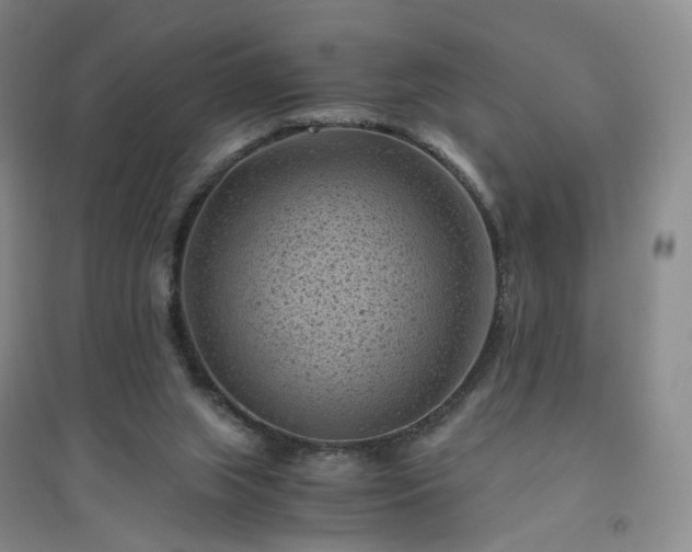 X0000094450063200711151436