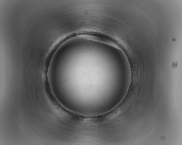 X0000094450064200711151436