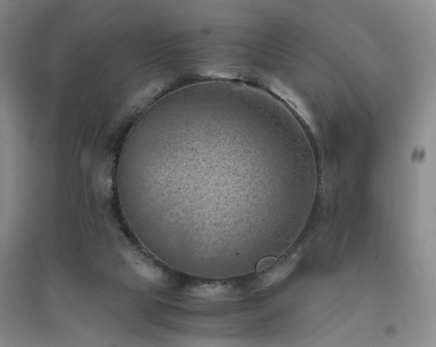X0000094450065200711151436