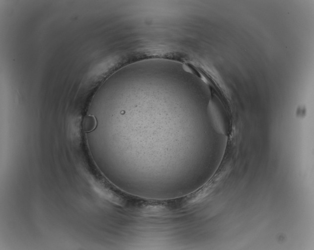 X0000094450066200711151436