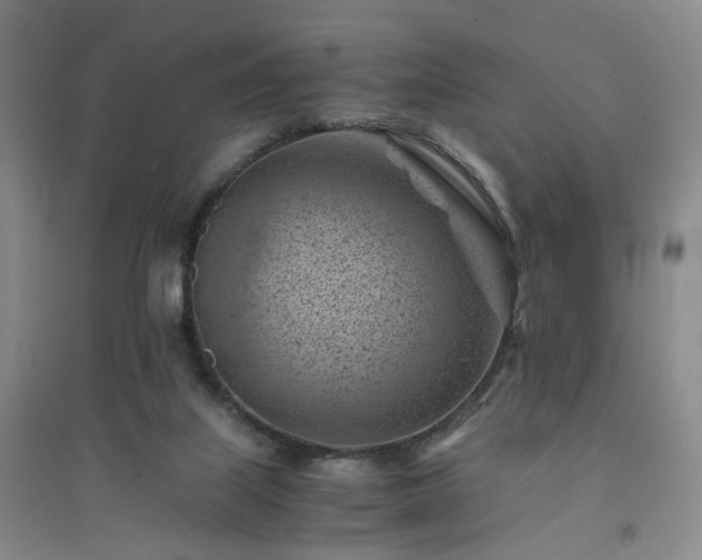 X0000094450067200711151436