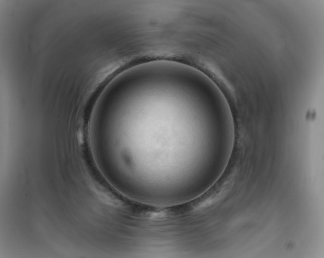 X0000094450068200711151436