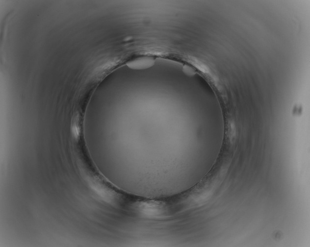X0000094450069200711151436