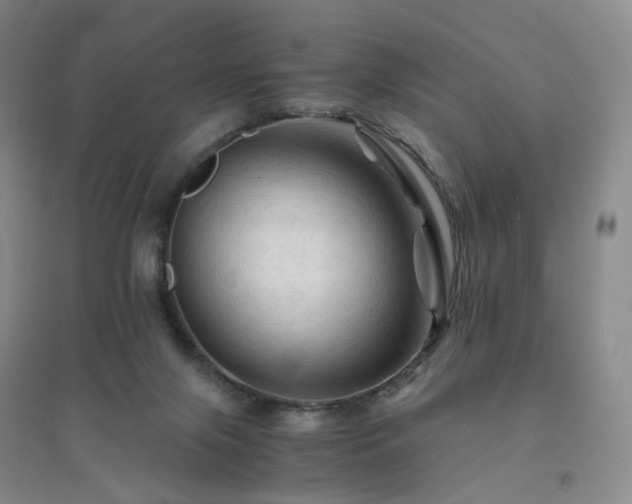 X0000094450071200711151436