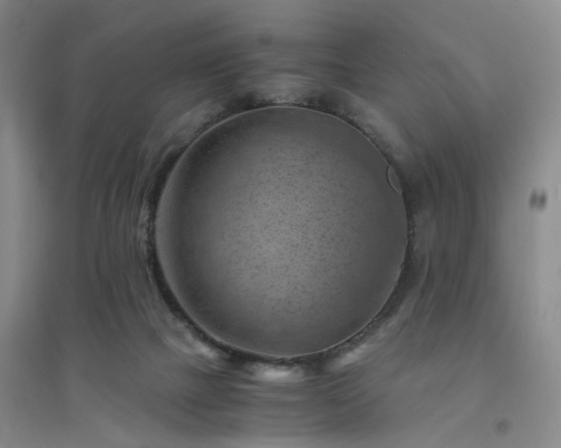 X0000094450073200711151436