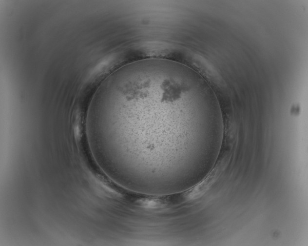 X0000094450074200711151436
