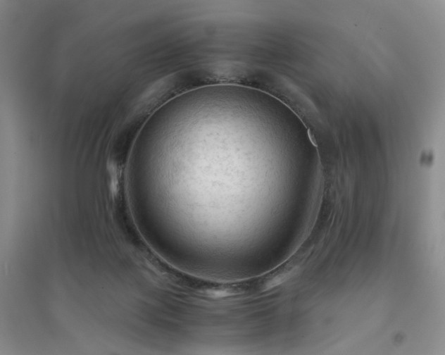 X0000094450075200711151436