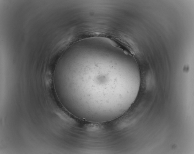 X0000094450077200711151437
