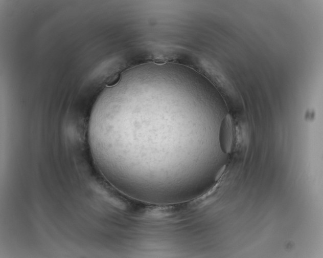 X0000094450078200711151437