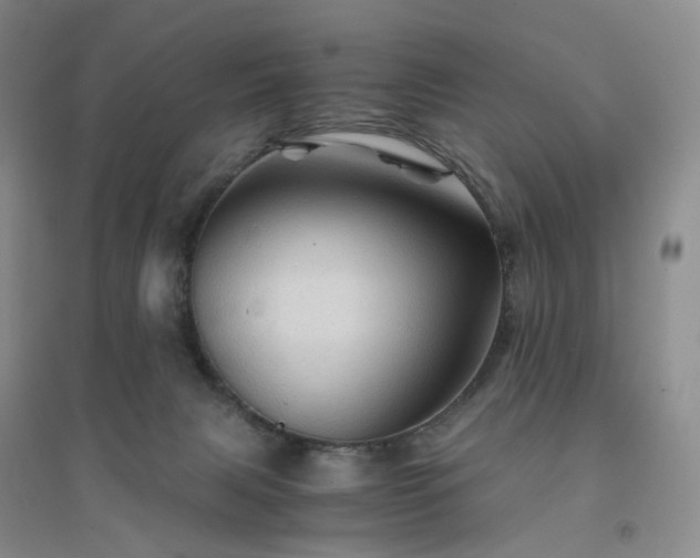 X0000094450079200711151437