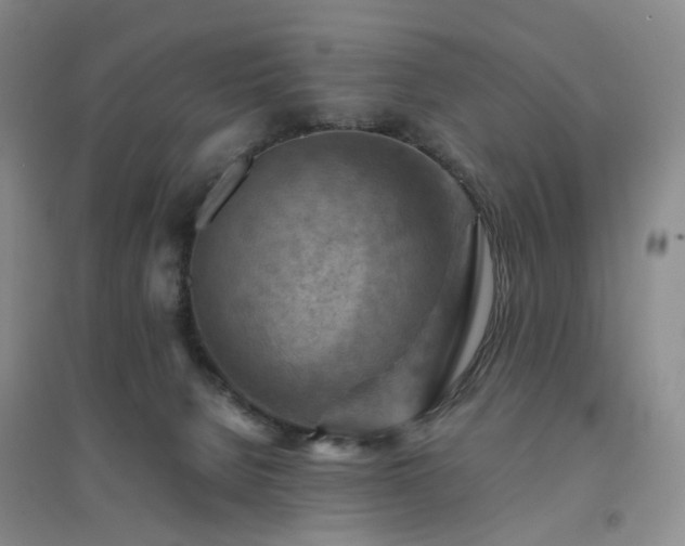 X0000094450080200711151437