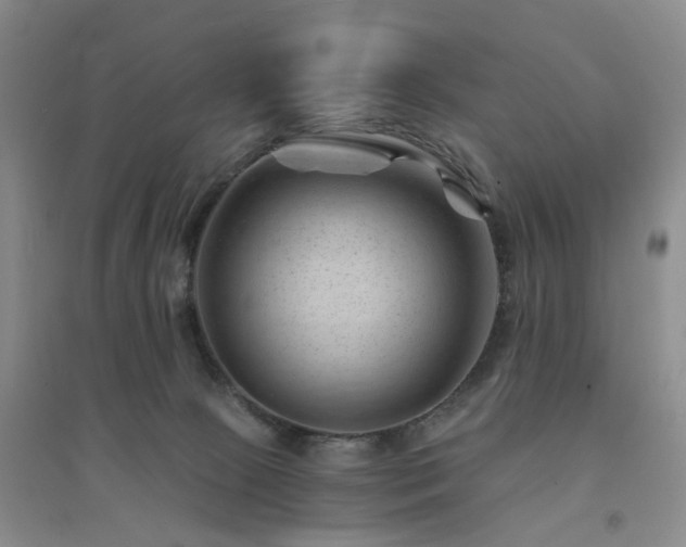 X0000094450081200711151437