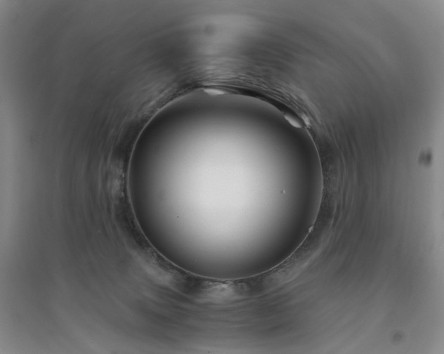 X0000094450083200711151437