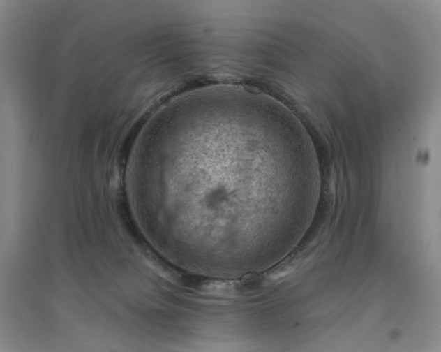 X0000094450084200711151437
