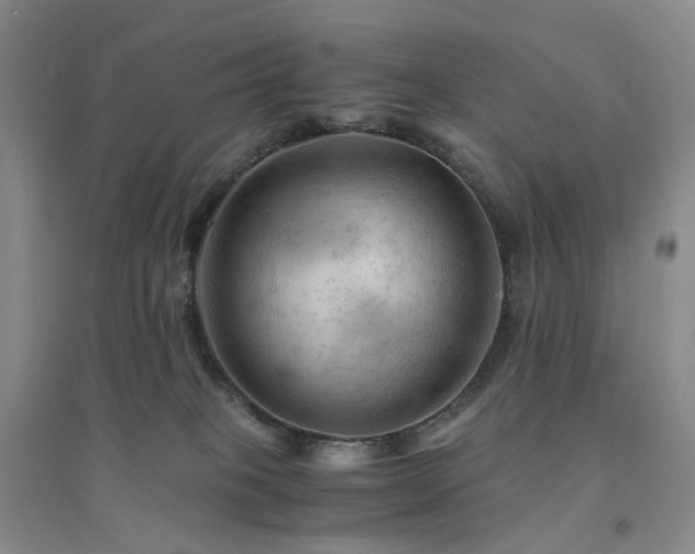 X0000094450085200711151437