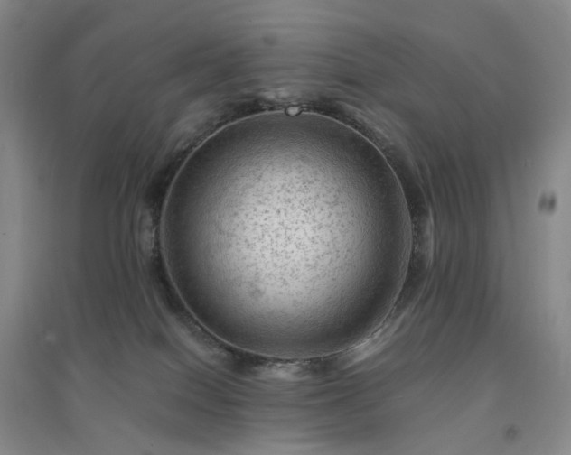 X0000094450086200711151437