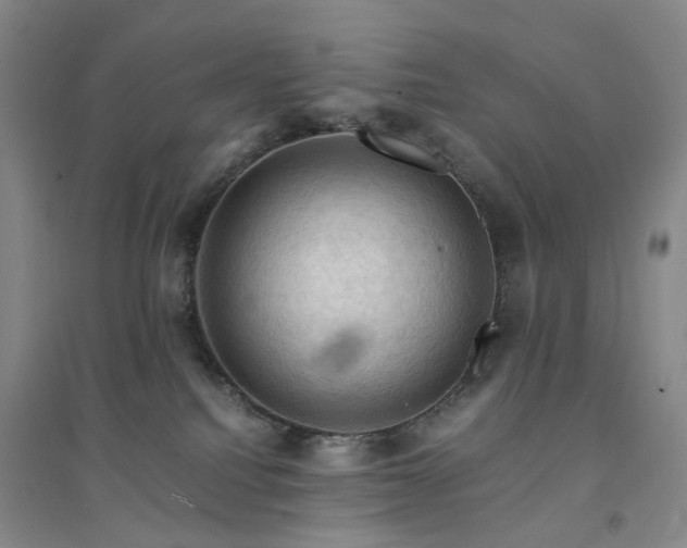 X0000094450088200711151437