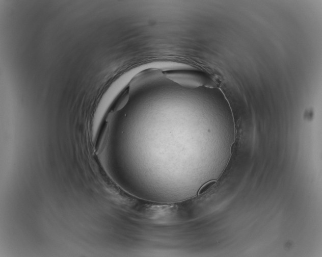 X0000094450089200711151437