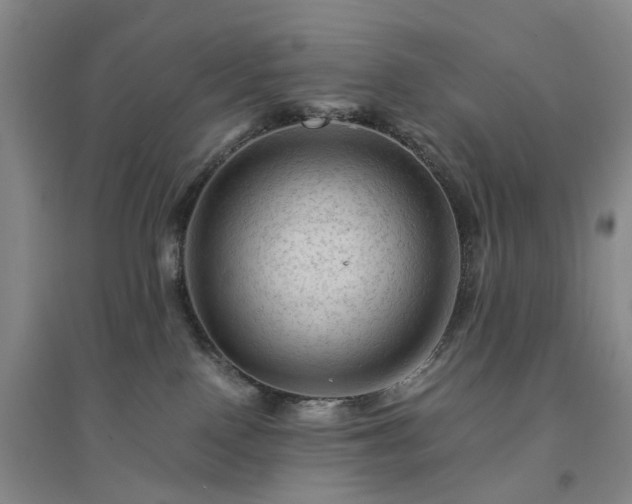 X0000094450090200711151437