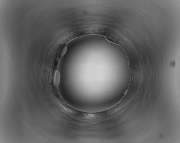 X0000094450091200711151437