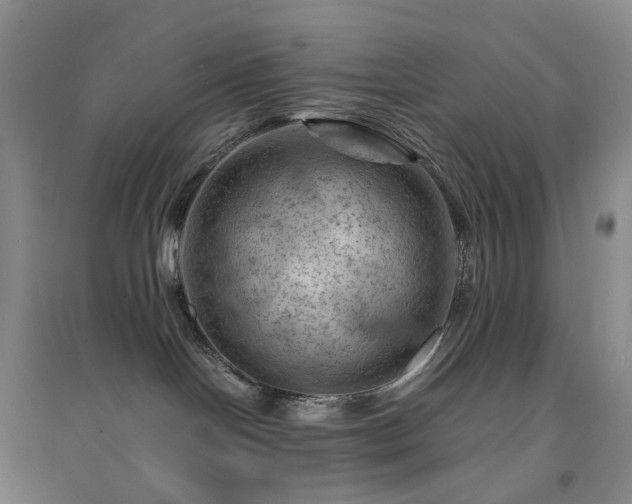 X0000094450094200711151437