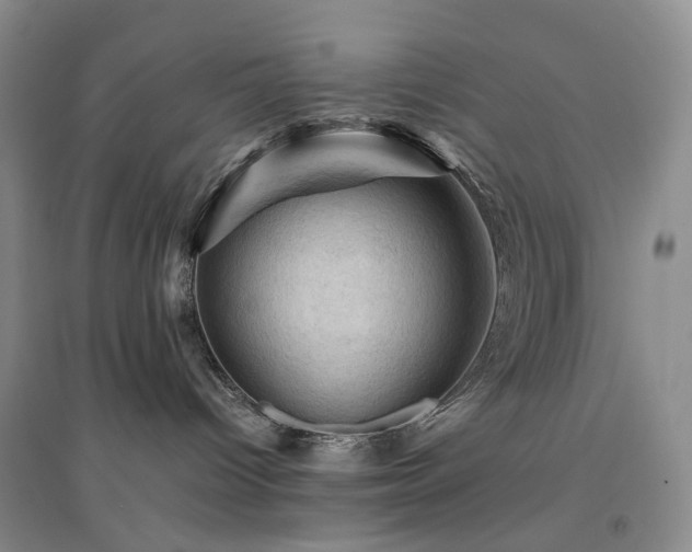 X0000094450096200711151437