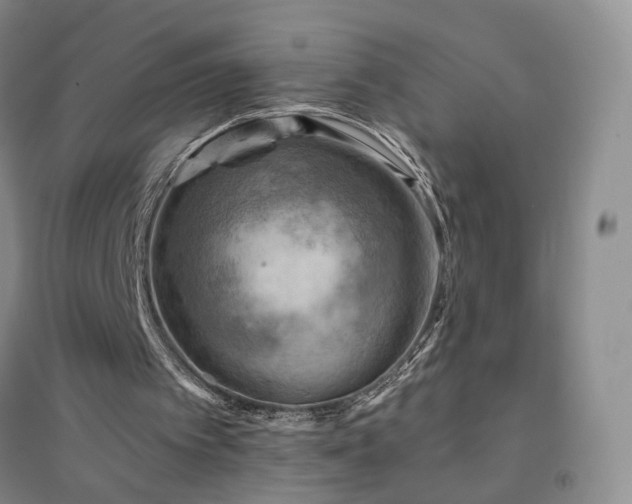 X0000094450097200711151436