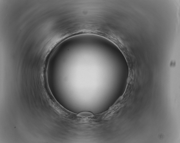 X0000094450098200711151436