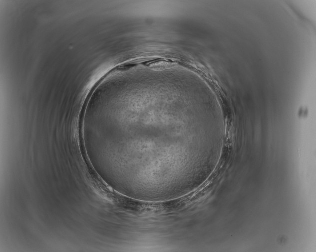 X0000094450099200711151436