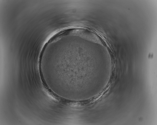X0000094450100200711151436