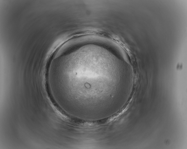 X0000094450101200711151436