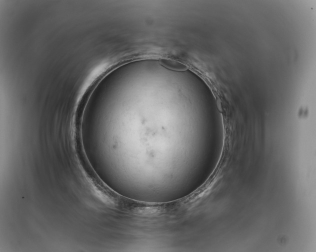 X0000094450102200711151436