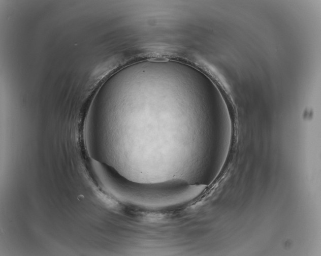 X0000094450105200711151436