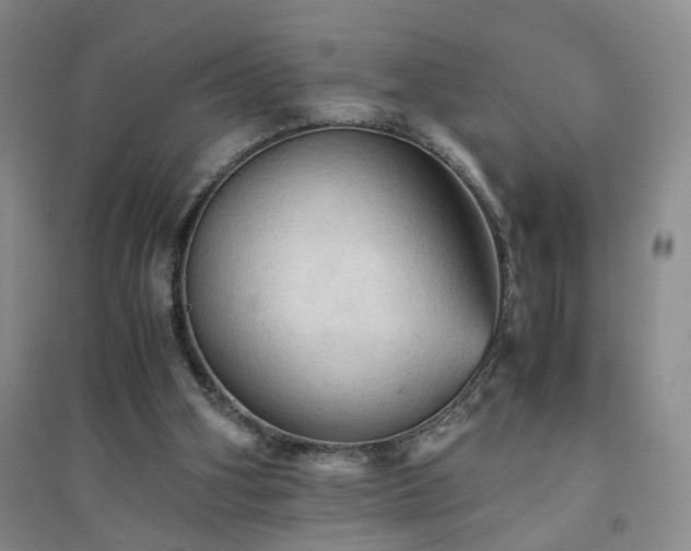 X0000094450106200711151436