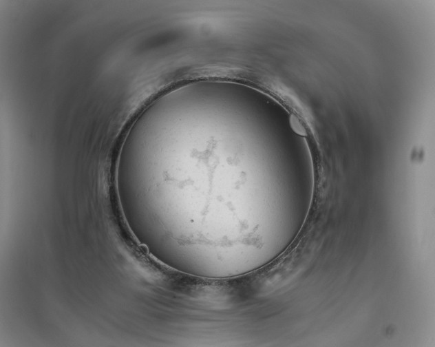 X0000094450107200711151436