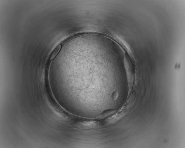 X0000094450108200711151436