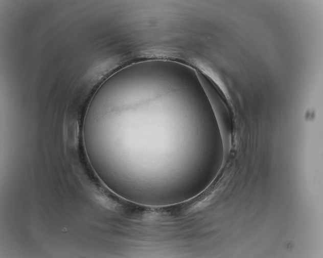 X0000094450109200711151436
