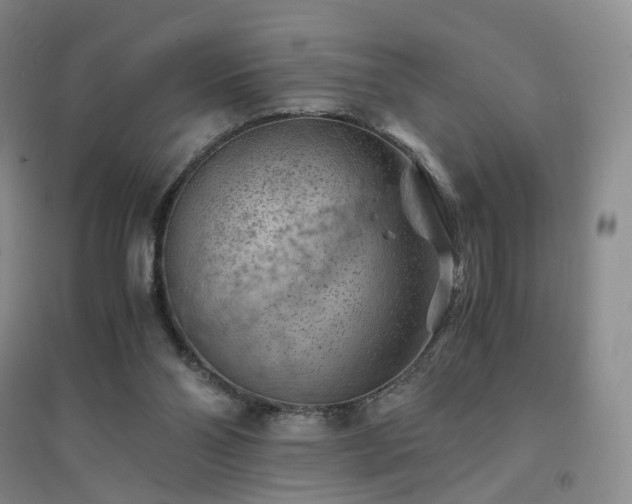 X0000094450110200711151436
