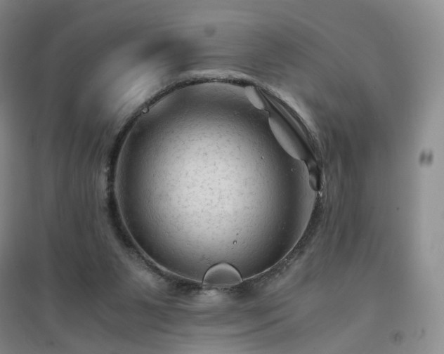 X0000094450111200711151436